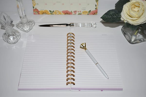 Spiral Journal: 'Work Hard So You Can Shop Harder,' open to center
