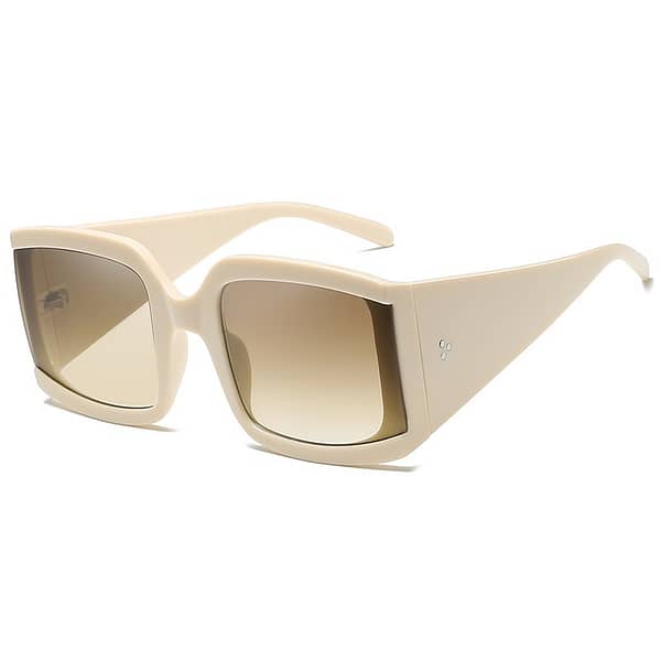 Large Retro Frame Sunglasses - Image 5
